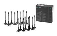 Клапаны головки блока 2112 16кл LECAR